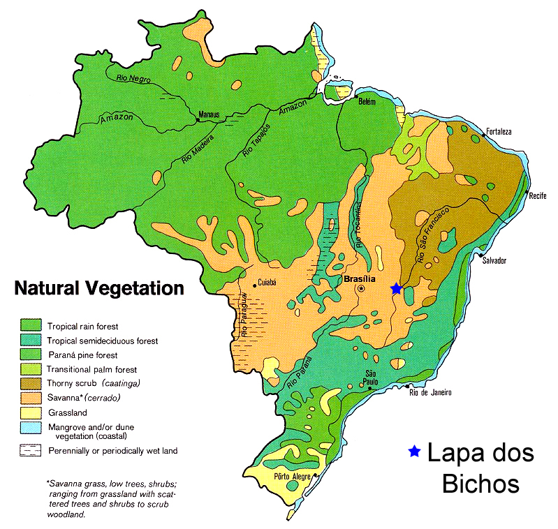 vegetation map of modern Brazil