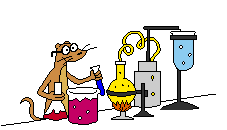 Mouse doing science